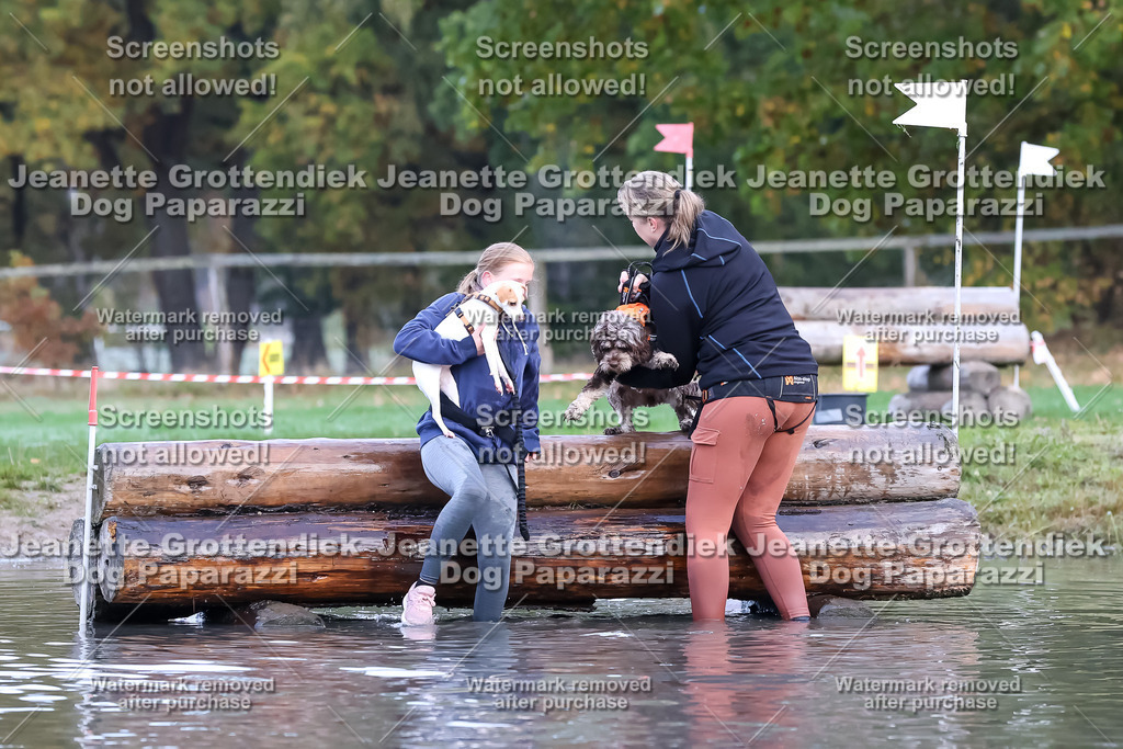 Dog Paparazzi - Strongdog 10-25-6488 | Dog Paparazzi Jeanette Grottendiek Fotografie & Videografie - Realisiert mit Pictrs.com