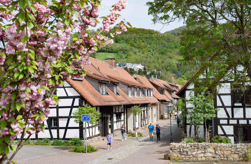 DSC_5466 | Zwingenberg, älteste Stadt an der hessischen Bergstraße,  Die Scheuergasse in Zwingenberg ist ein architektonisches Kleinod, wegen Brandgefahr wurden im Mittelalter die Scheunen außerhalb der Stadtmauern gebaut, ,, Bild: Thomas Neu