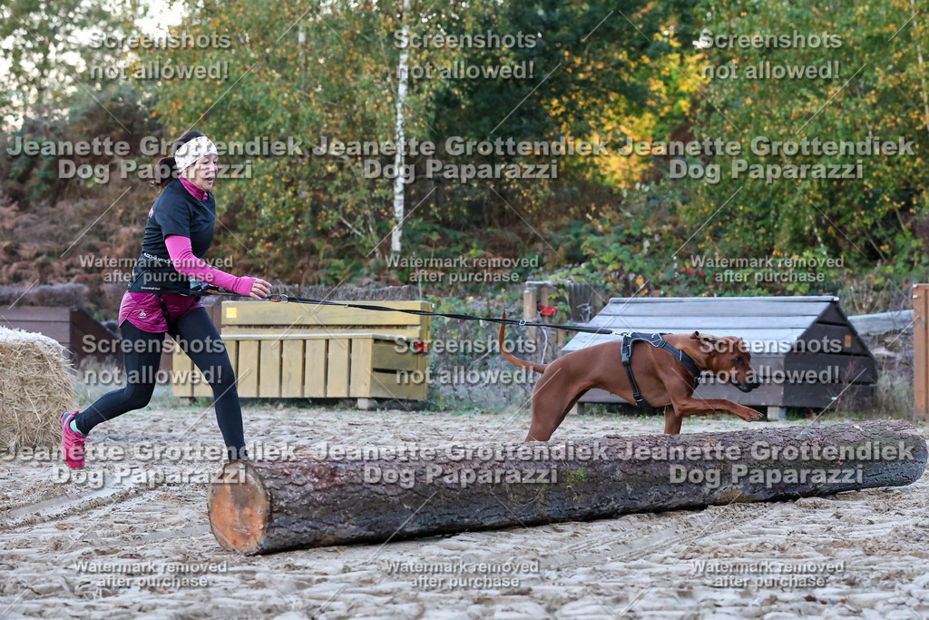 Dog Paparazzi - Strongdog 10-25-31 | Dog Paparazzi Jeanette Grottendiek Fotografie & Videografie - Realisiert mit Pictrs.com