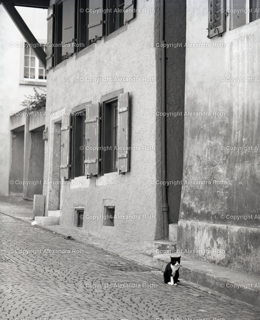 Aarau_0529 | onlineshop - Realisiert mit Pictrs.com