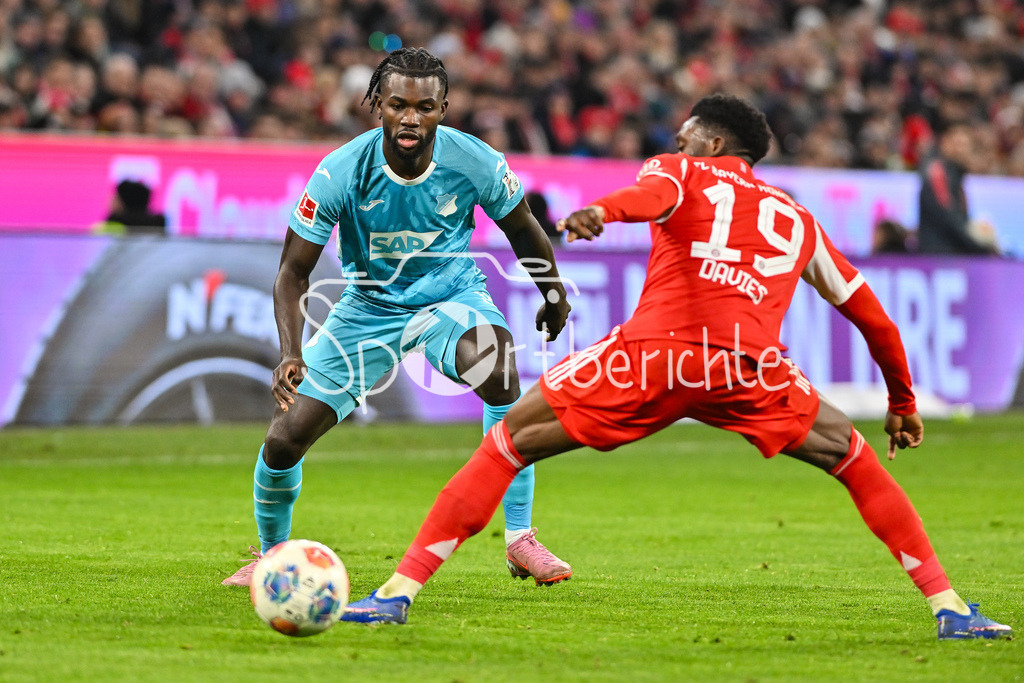 FC Bayern München - TSG 1899 Hoffenheim | MUNICH, GERMANY - 08. FEBRUARY: im Duell Ihlas BEBOU (TSG Hoffenheim 9) und Alphonso DAVIES (FC Bayern Munich 19) während dem Bundesligamatch zwischen dem FC Bayern München und der TSG 1899 Hoffenheim am 21. Spieltag in der Allianz Arena / DFL REGULATIONS PROHIBIT ANY USE OF PHOTOGRAPHS AS IMAGE SEQUENCES AND/OR QUASI-VIDEO