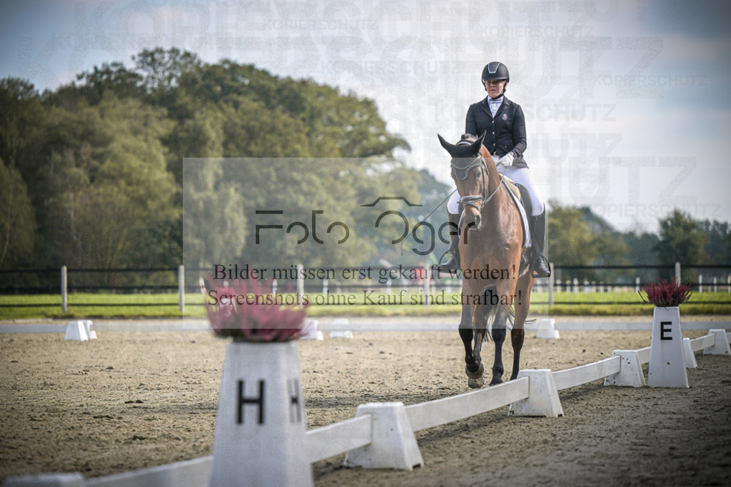 DOS_B693 | Entdecke hochwertige Reitturnierfotos von Foto Oger. Professionell, emotional und authentisch – jetzt Lieblingsmomente im Shop bestellen.Deutschlandweite Turnierfotografie. - Realisiert mit Pictrs.com