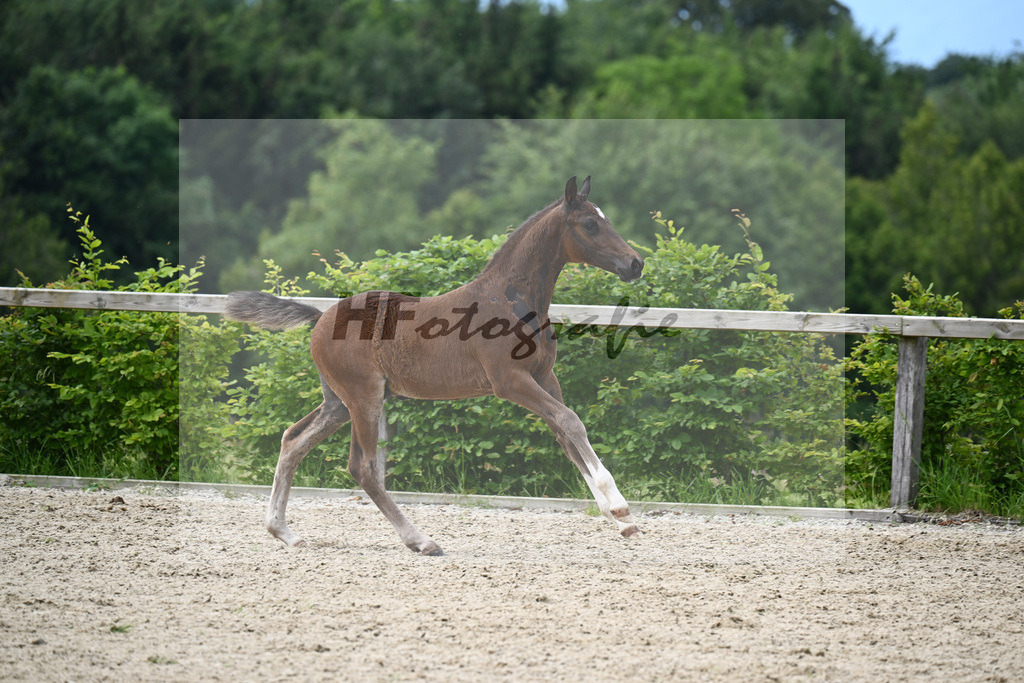 Chubakko x For Keeps_HF_Zuchthof Meindl_19240189 | hf-fotografie - Realizzato con Pictrs.com