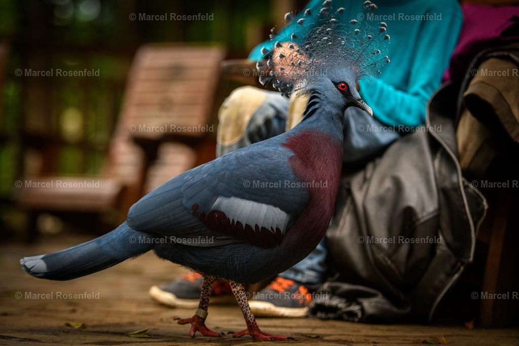 _DSC0201 | foto-rosenfeld