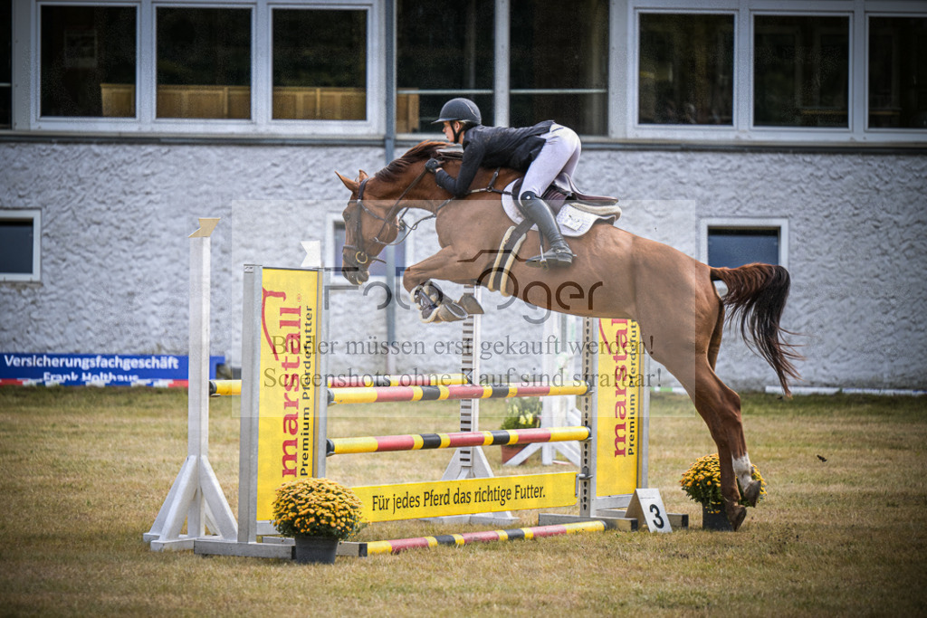 DOS_0022 | Entdecke hochwertige Reitturnierfotos von Foto Oger. Professionell, emotional und authentisch – jetzt Lieblingsmomente im Shop bestellen.Deutschlandweite Turnierfotografie. - Realisiert mit Pictrs.com