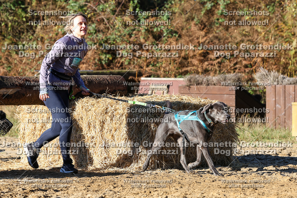 Dog Paparazzi - Strongdog 10-25-1651 | Dog Paparazzi Jeanette Grottendiek Fotografie & Videografie - Realisiert mit Pictrs.com