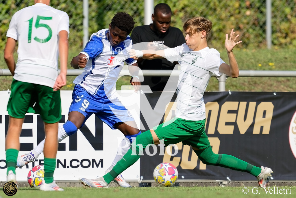 DZ9_6629 | Velletri Photo