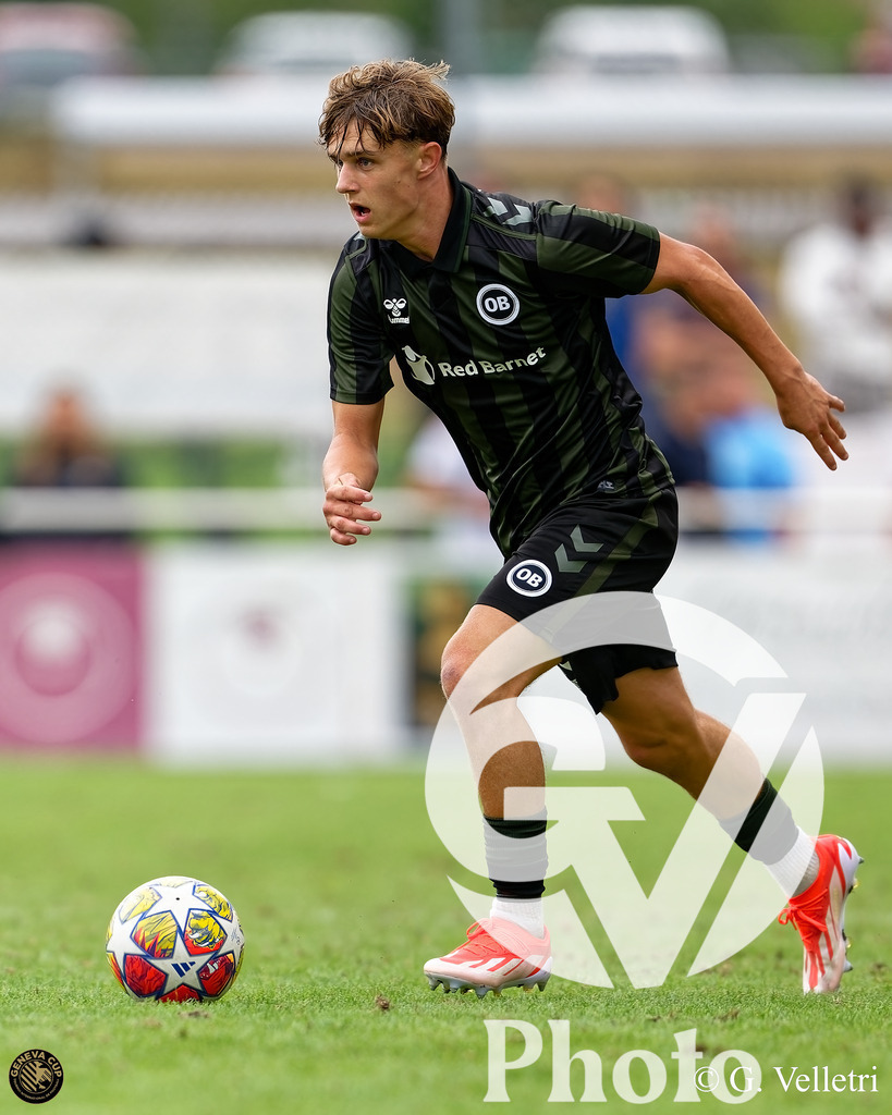 DZ9_0709 | Velletri Photo