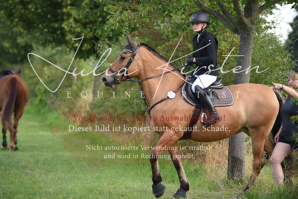 DSC_8598 | Pferde- und Turnierfotografie in Westsachsen. Pferdeportraits, Auftragszeichnungen und intuitive Kunst.