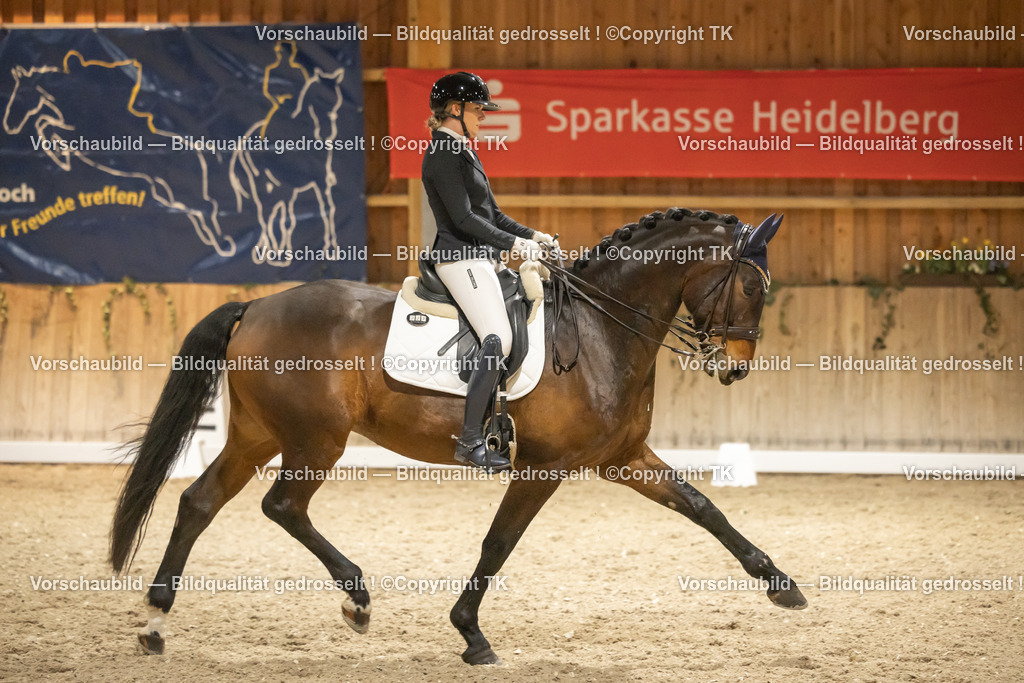 _D5A4051 | Emotionale Pferde- & People-Fotografie rund um Heidelberg, Leimen & Umgebung. Natürliche Fotos von Pferd, Mensch & Familie. Jetzt Termin sichern!