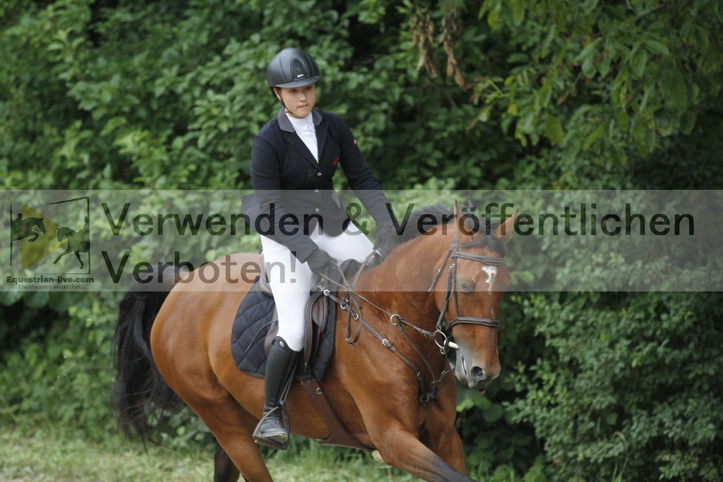 _MG_0237 | equestrian-live-com