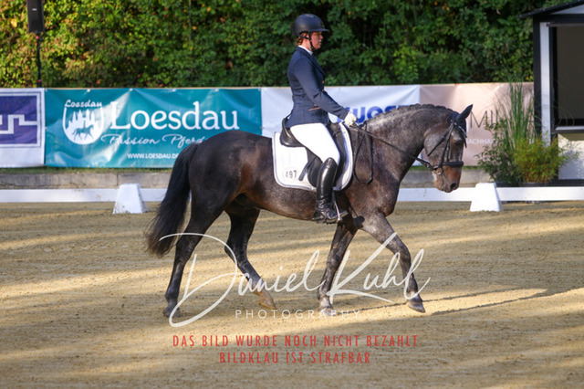 DKP41133 | Turniersportfotografie; Pferdefotografie; Dressurfotografie