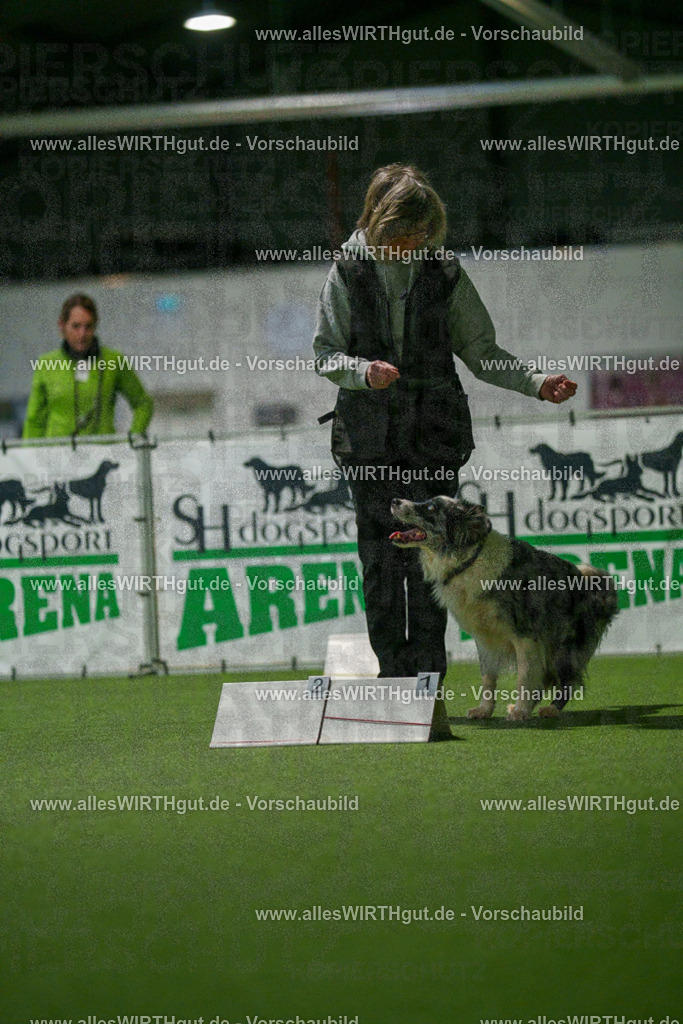 7R504416 | Professionelle Tierfotografie in Mönchengladbach von Daniel Wirth (allesWIRTHgut). Liebevolle & natürliche Bilder von Hunden & Katzen für unvergessliche Erinnerungen.