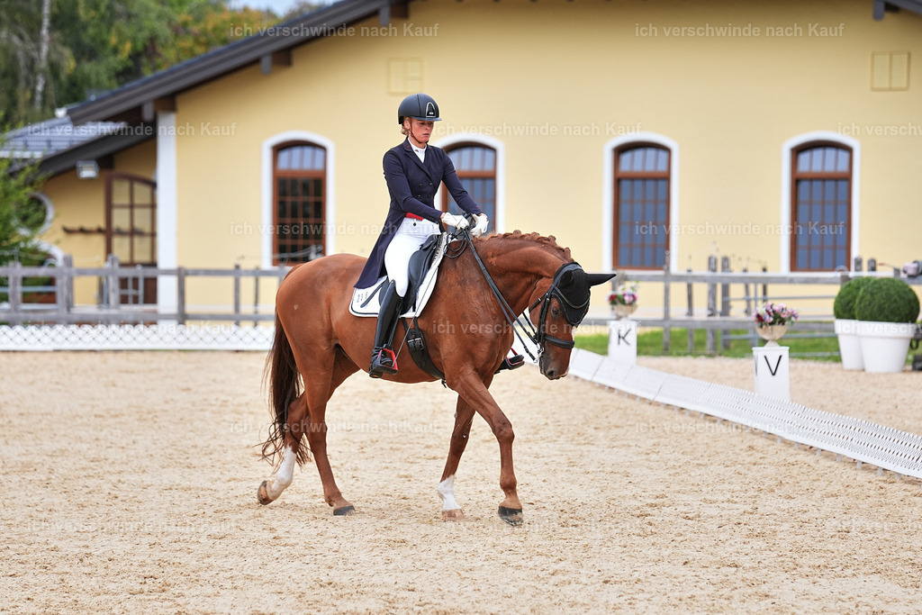 11-238-Dressur S___-Marixx-1761 | working equitationturnier fotograf videograf stoibphotography marixx film working equitation deutschland reitsport turnierfotografie eventfotografie equestrian events