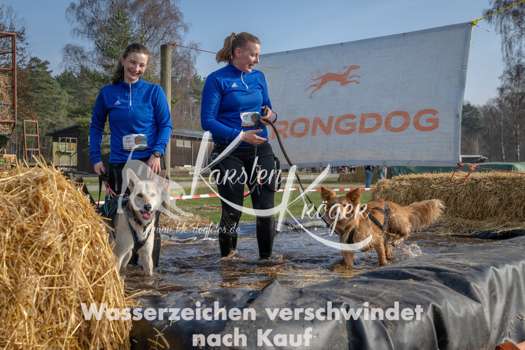 _ZZ90103 | kk-dogfotos