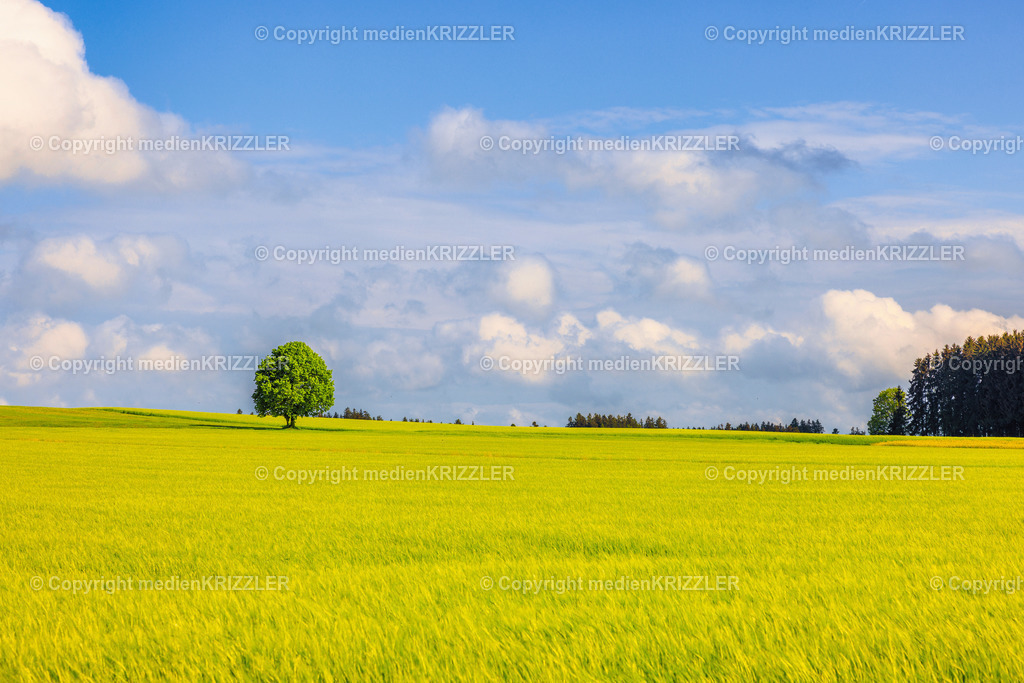 _J3A7748 | medienkrizzler - Realisiert mit Pictrs.com