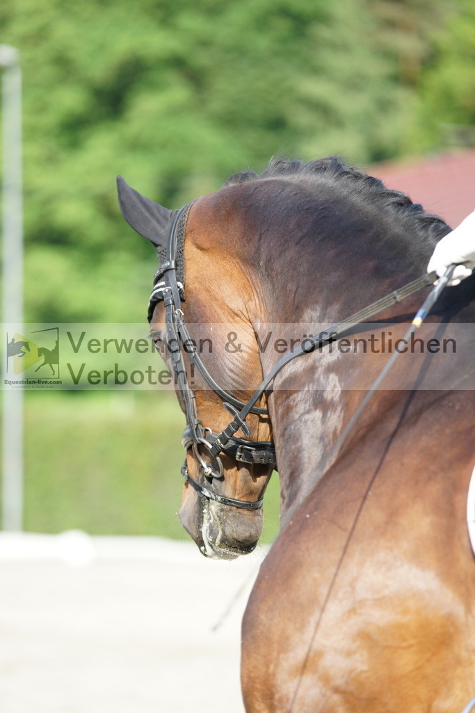 DSC05783 | equestrian-live-com