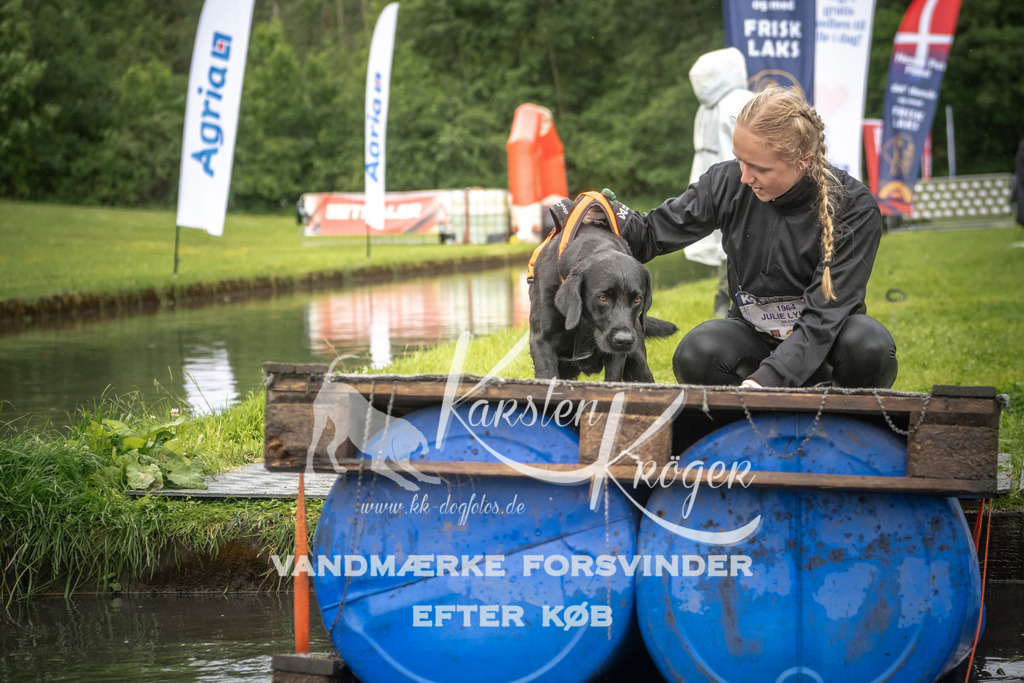 1625_ZZ97508-2 | kk-dogfotos