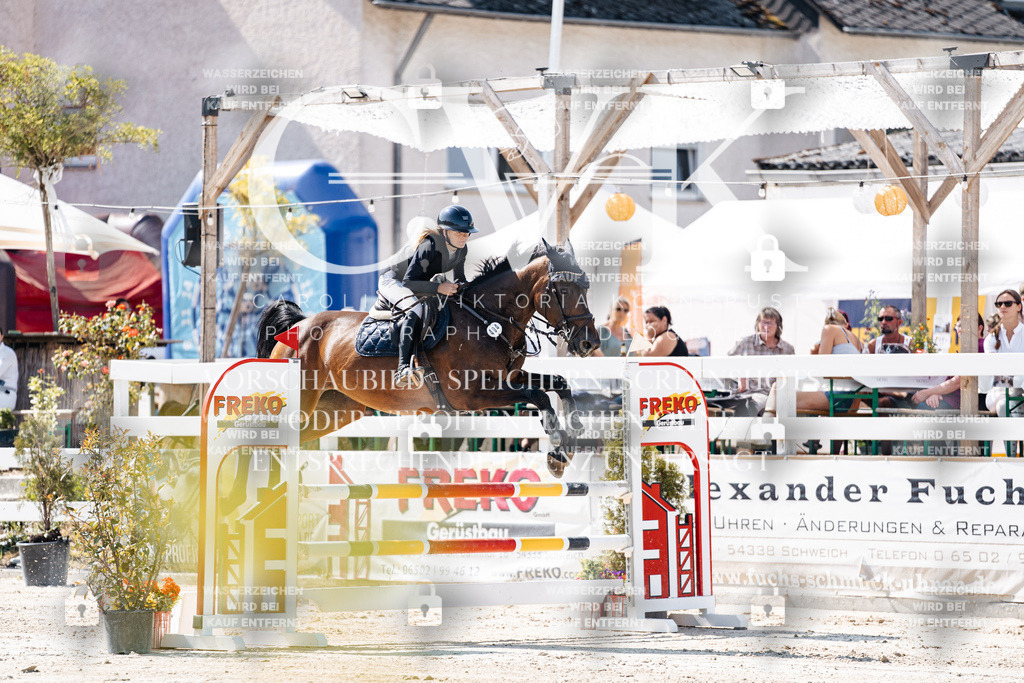 CK908523 | Turnierfotografie Pferdefotografie Trier Rheinland-Pfalz Pferdesport Reitsport Tierfotografie Sportfotografie Pferdevideo Pferdevideografie Equestrianvideography equestrianphotography  - Realisiert mit Pictrs.com