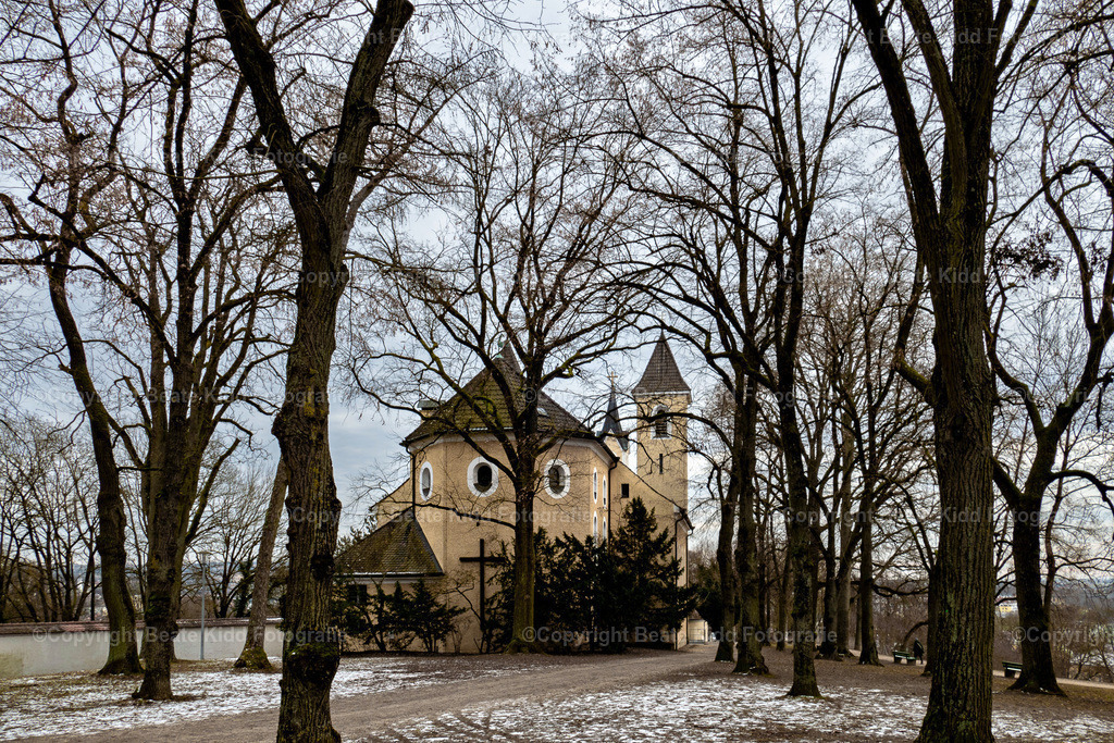 P2070284 | beatekidd-fotografie - Realisiert mit Pictrs.com