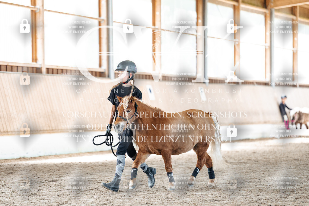 CK906974 | Turnierfotografie Pferdefotografie Trier Rheinland-Pfalz Pferdesport Reitsport Tierfotografie Sportfotografie Pferdevideo Pferdevideografie Equestrianvideography equestrianphotography  - Realisiert mit Pictrs.com