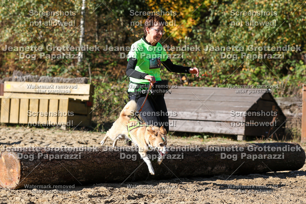 Dog Paparazzi - Strongdog 10-25-2656 | Dog Paparazzi Jeanette Grottendiek Fotografie & Videografie - Realisiert mit Pictrs.com