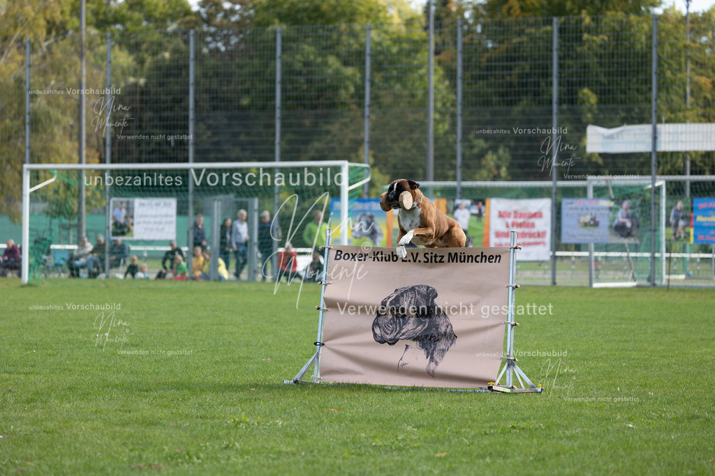 _16A5645 | Einzigartige Fotos von Hunden & Menschen –Actionfotos, Portraits, Vereinsaufnahmen & Paarshootings – authentisch, lebendig & mit Herz.