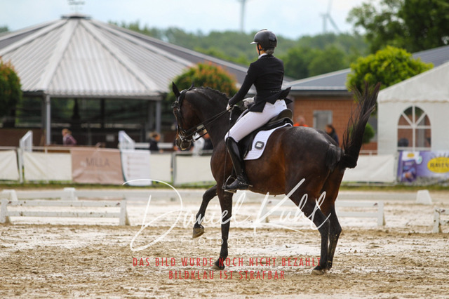 DKP40462 | Turniersportfotografie; Pferdefotografie; Dressurfotografie