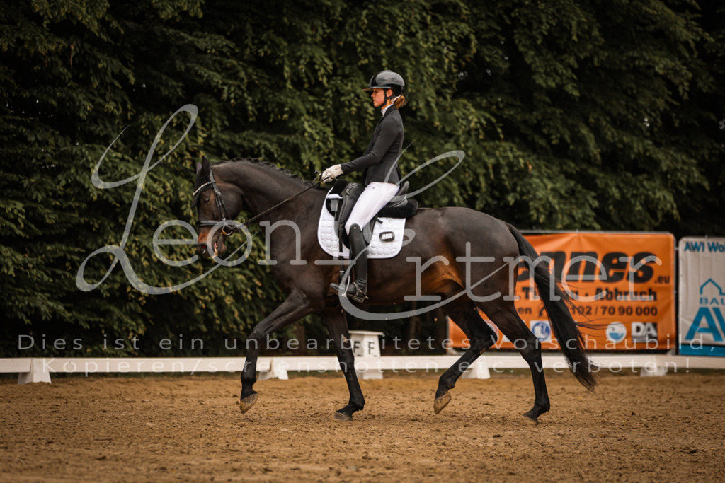 DoDrA00350 | Leoni Ertmer Photography - Realisiert mit Pictrs.com