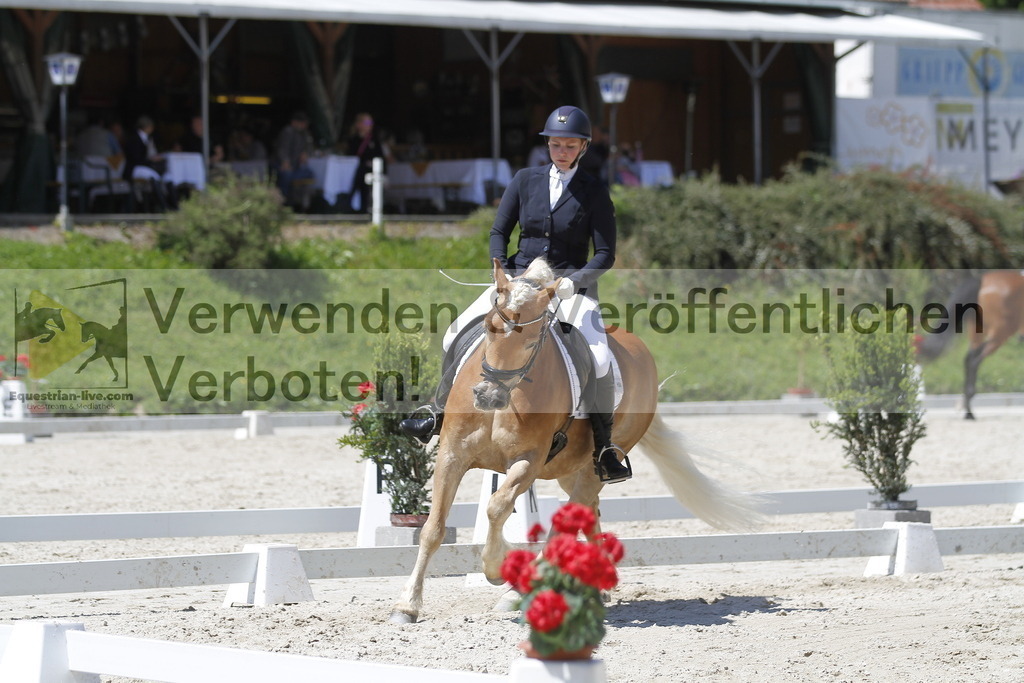 _MG_5244 | equestrian-live-com