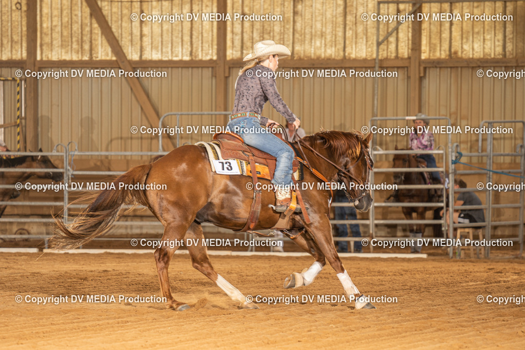 NID02274 | dv-media-shop - Realisiert mit Pictrs.com