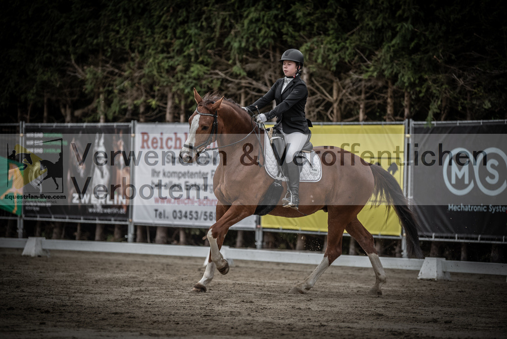 DSC_9665 | equestrian-live-com