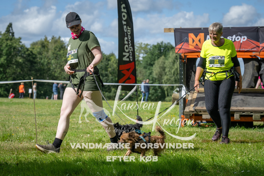 1540_ZZ93632 | kk-dogfotos