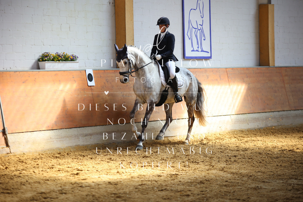 IMGT7157 | pl-fotografie