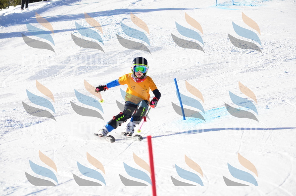 C5904 | holidayphoto