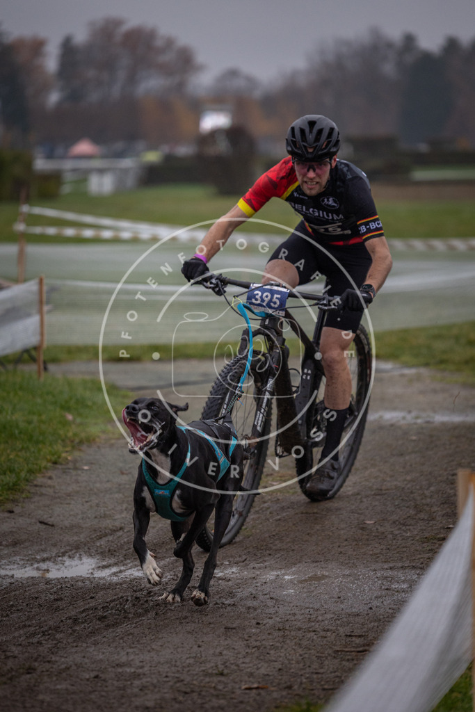 CaniXpix_0L8A1397 | Hundefotografie, Tierfotograf, Pfotenfotografie, Fotoshooting Hund, Hunde Portrait, Hundesport, Hundeportraits, Heideshooting, Hunde, Sportfotograf, Hundefotograf, Turnierhundsport, THS,  - Realisiert mit Pictrs.com
