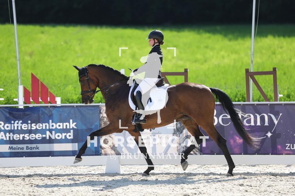 0P6A2776 | Willkommen bei Brunnmayr - Design & Fotografie – Ihrem Spezialisten für Reitturniere und Pferdeveranstaltungen in Oberösterreich, Salzburg und Bayern! Seit über 17 Jahren sind wir leidenschaftlich dabei.