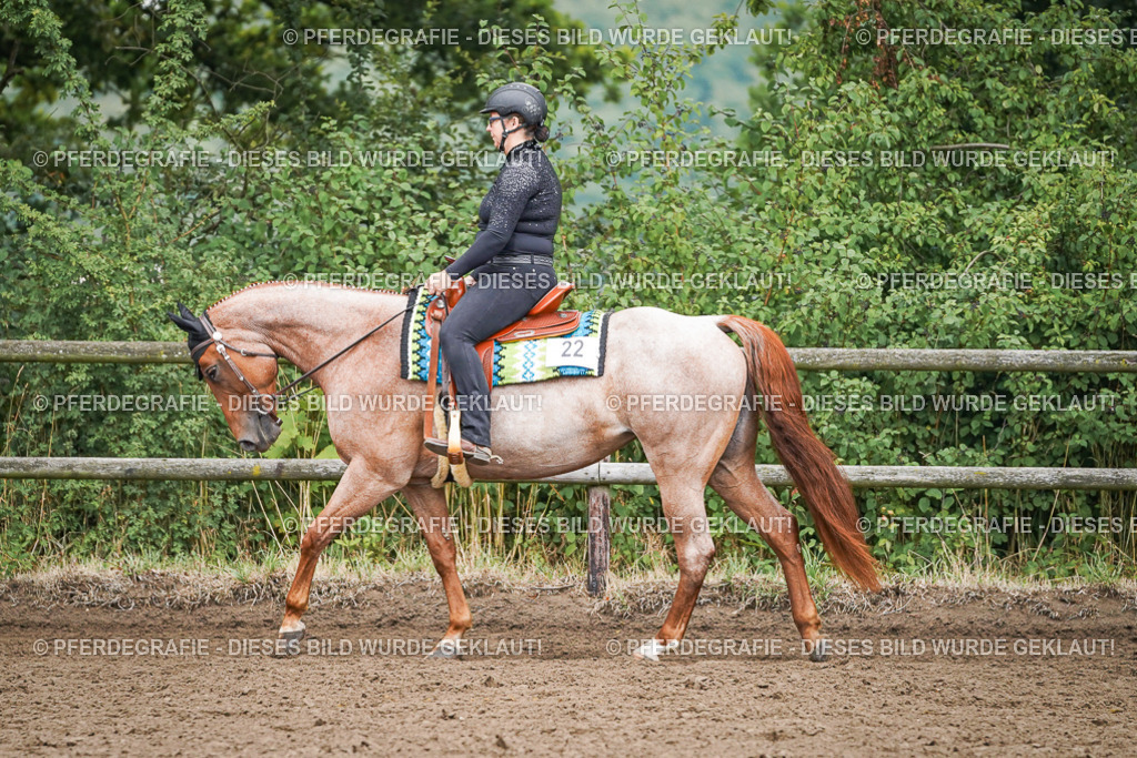 DSC01726 | Pferdegrafie