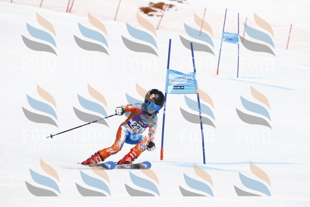 _U3G5697 | holidayphoto