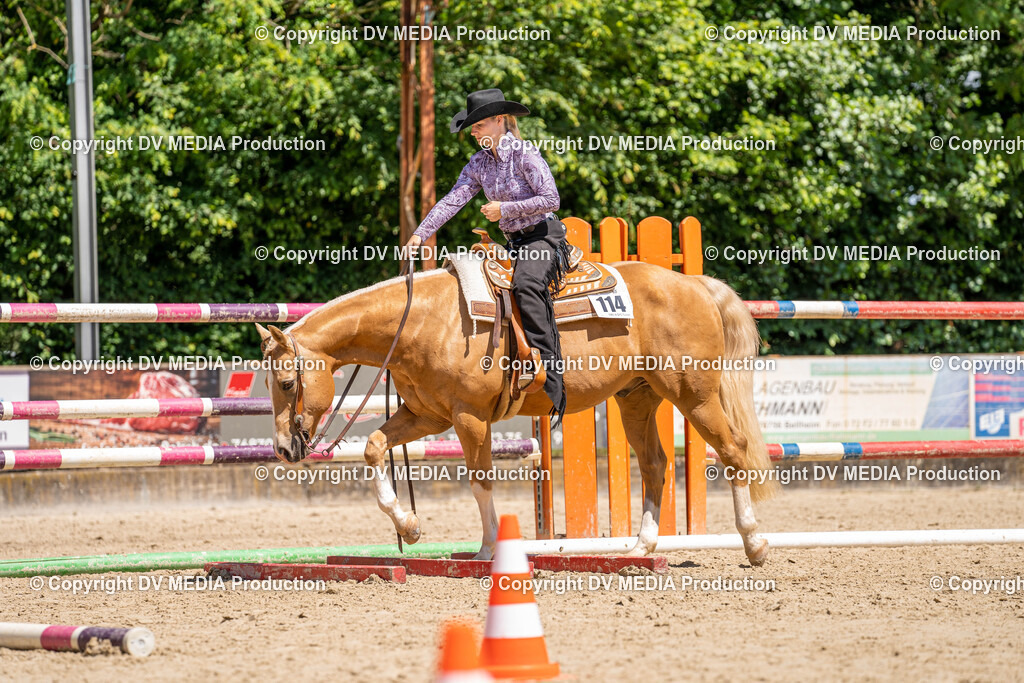 Zeiskam Tag 2-1190 | dv-media-shop - Realisiert mit Pictrs.com