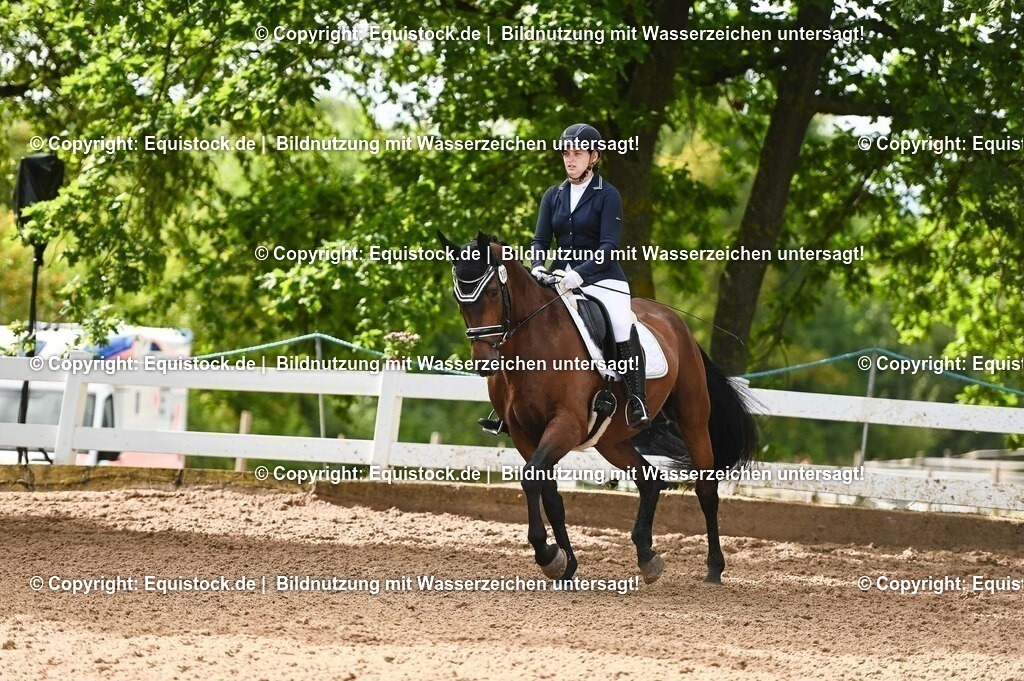 20230716_04_Dressurreiterprüfung Kl.A_0250 | equistock