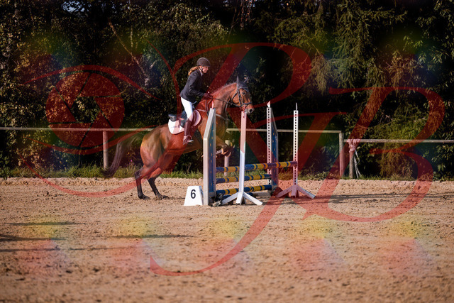 2026_10_03_Siefer-Hof_161057_Z81_90803146 | Professionelle Reitsport-, Turnier- und Eventfotografie von Robert Broda. Galerien mit ausgewählten und bearbeiteten Bildern direkt online ansehen und bestellen.