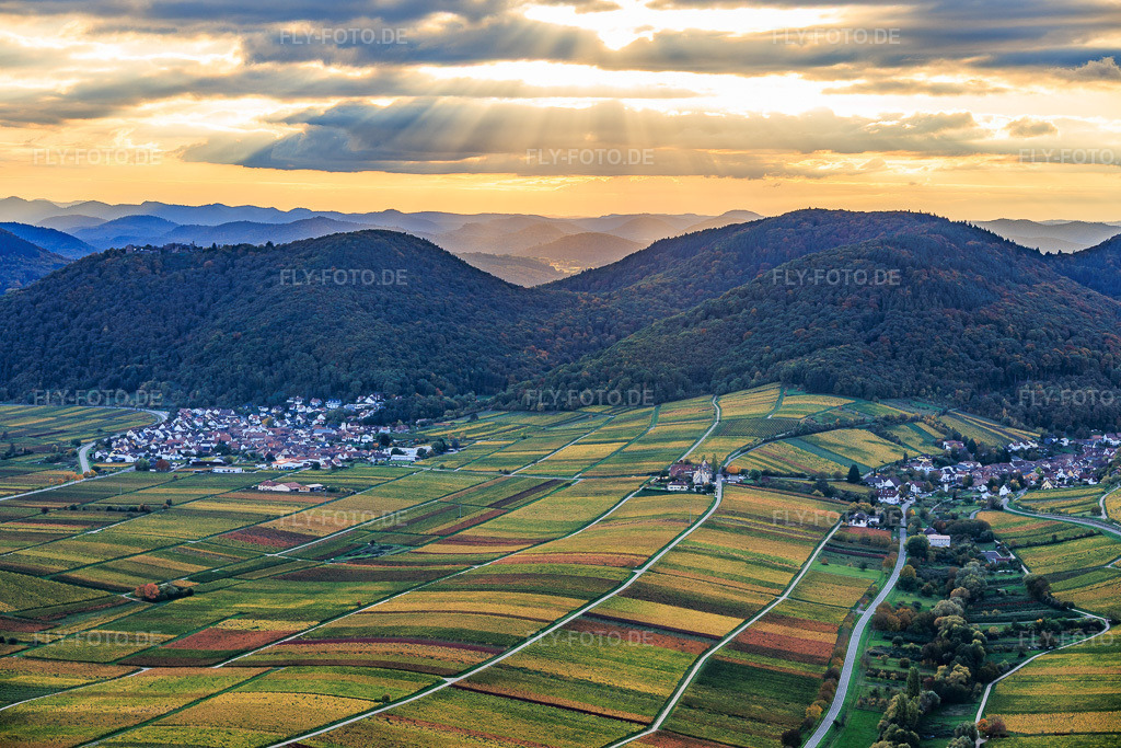 Luftbild: Herbstlich bunte Wingert zwischen Birnbach und Aalmühl am Weinlehrpfad Leinsweiler in Leinsweiler im Bundesland Rheinland-Pfalz in Deutschland. Foto: IMG_150347.jpg vom 15.10.2025 durch Werner Riehm/FLY-FOTO.de