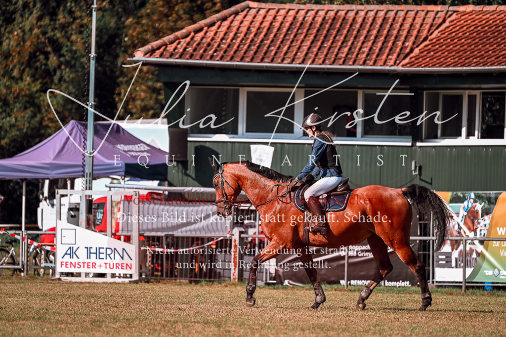 DSC_0554 | Pferde- und Turnierfotografie in Westsachsen. Pferdeportraits, Auftragszeichnungen und intuitive Kunst.