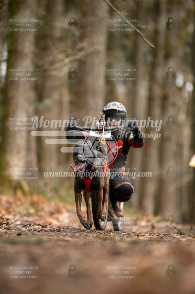 SPA_2023_DIM_Scooter-50 | PayLife