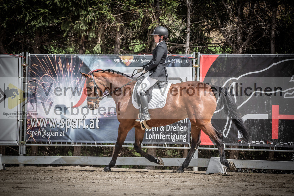 DSC_2388 | equestrian-live-com