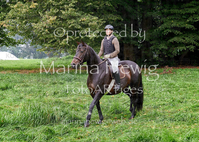 09-23 JAgd PerdölDSC01973_Marina Hewig | Fotografie, FotoArt, PferdesportArt, Pferdesportfotografie, Landschaftsfotografie, Reisefotografie, Reise, Pferde - Realisiert mit Pictrs.com