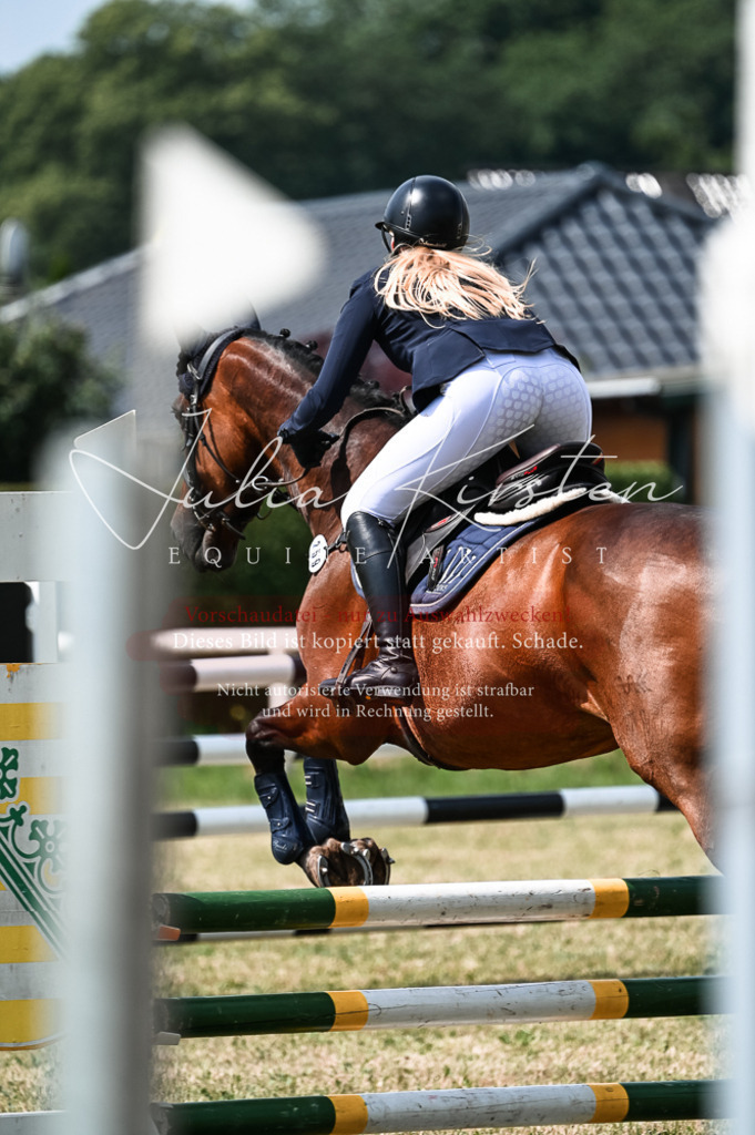 DSC_9110 | Pferde- und Turnierfotografie in Westsachsen. Pferdeportraits, Auftragszeichnungen und intuitive Kunst.