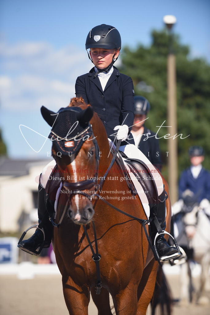 DSC_0123 | Pferde- und Turnierfotografie in Westsachsen. Pferdeportraits, Auftragszeichnungen und intuitive Kunst.