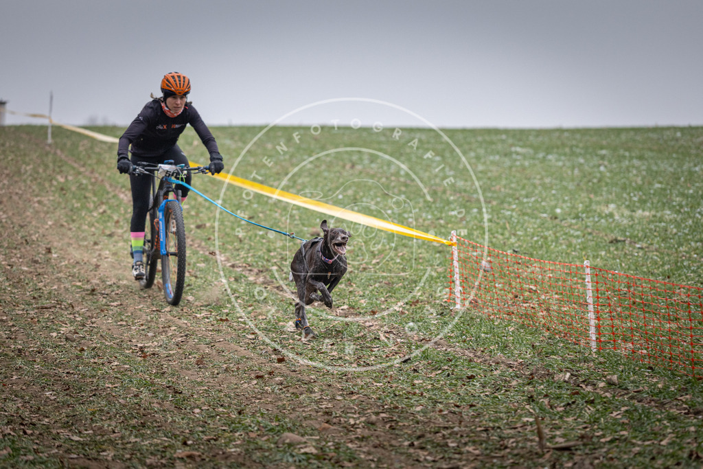 Pfotenfotografie_DV3A1036 | Hundefotografie, Tierfotograf, Pfotenfotografie, Fotoshooting Hund, Hunde Portrait, Hundesport, Hundeportraits, Heideshooting, Hunde, Sportfotograf, Hundefotograf, Turnierhundsport, THS,  - Realisiert mit Pictrs.com